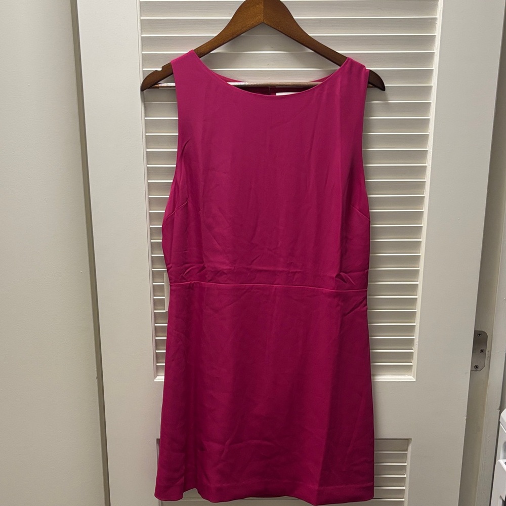 Aritzia Fuchsia Mini Dress